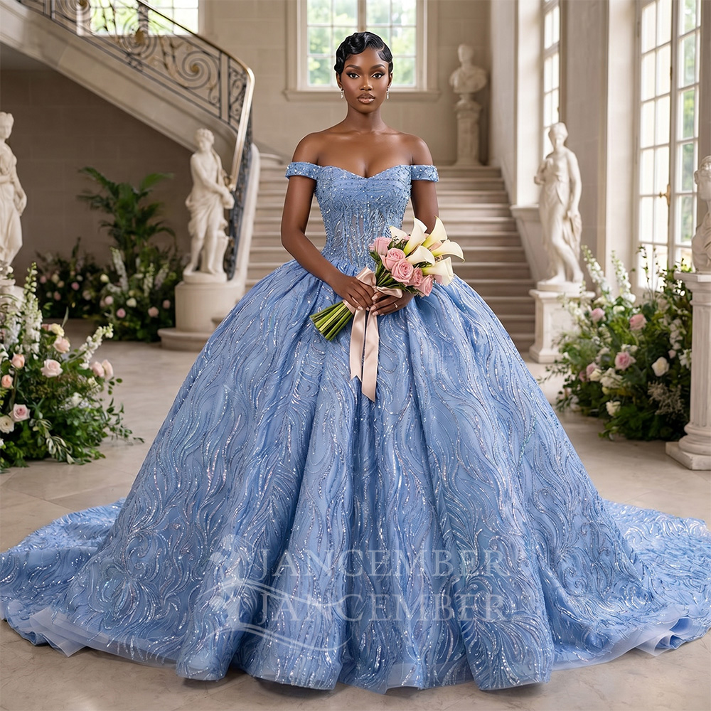 Customized Blue Quinceanera Dr - огляд і ціна Embroidery Organza
